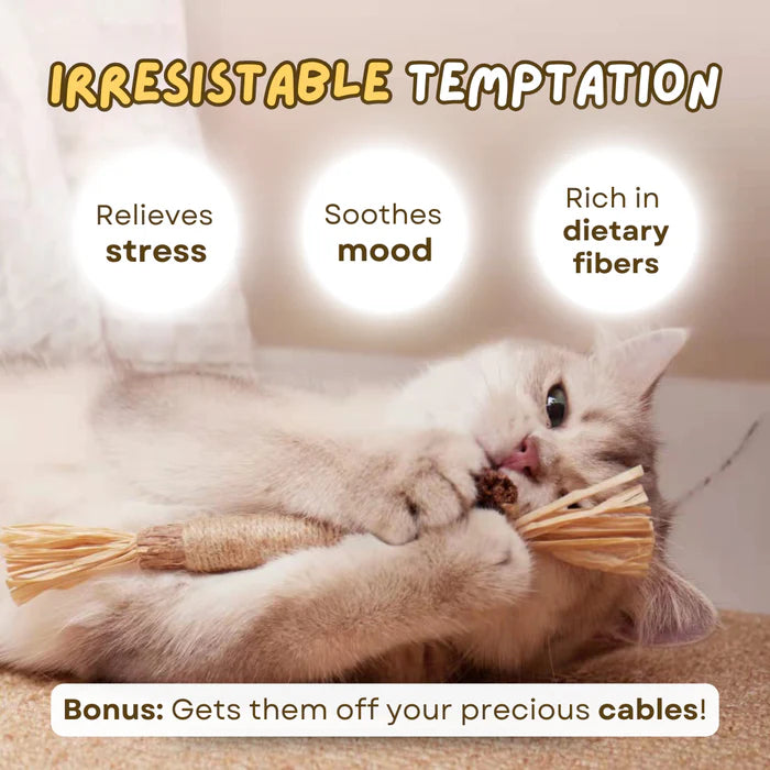 All Natural Teething Toy (3 Pcs)